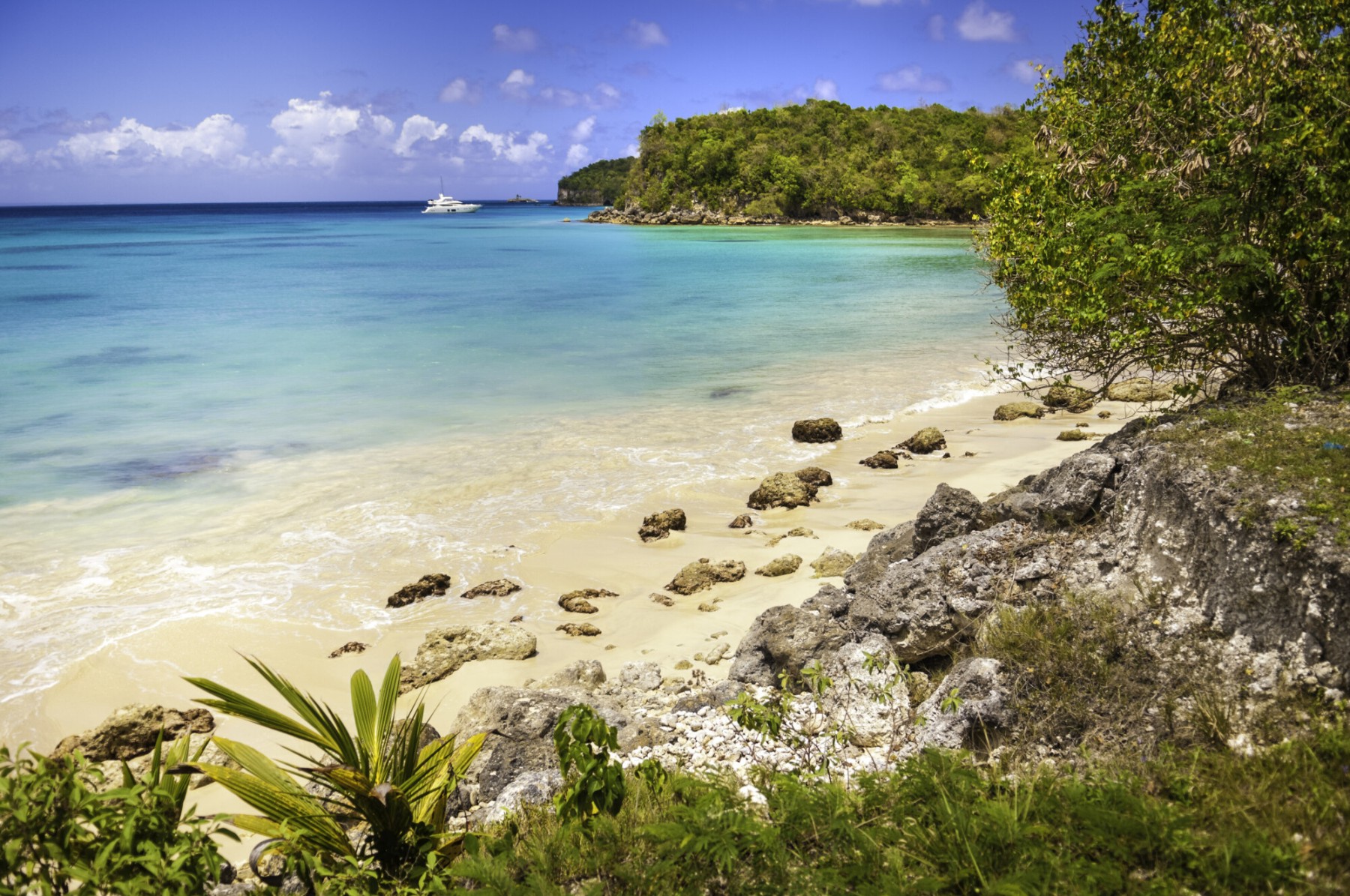 France, Caraïbes, Petites Antilles, Guadeloupe, Guadeloupe, Marie-Galante, Saint-Louis, Plage de Moustique // France, Caribbean, Lesser Antilles, Guadeloupe, Guadeloupe, Marie-Galante, Saint-Louis, Moustique Beach